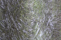 West Markham fibreglass roof work